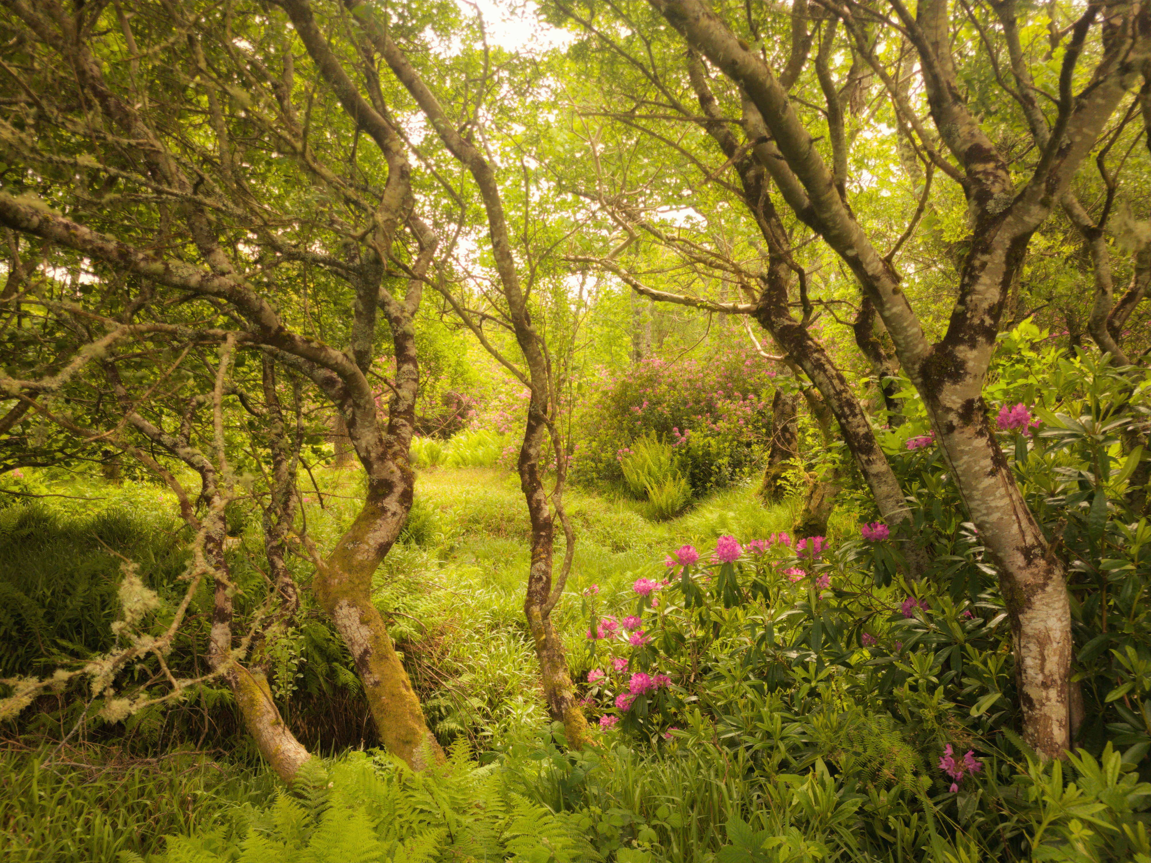 Beautiful Green Alcove